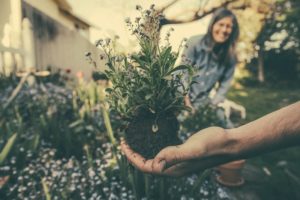 Paperi's garden | Progettazione, realizzazione e manutenzione giardini | Milano